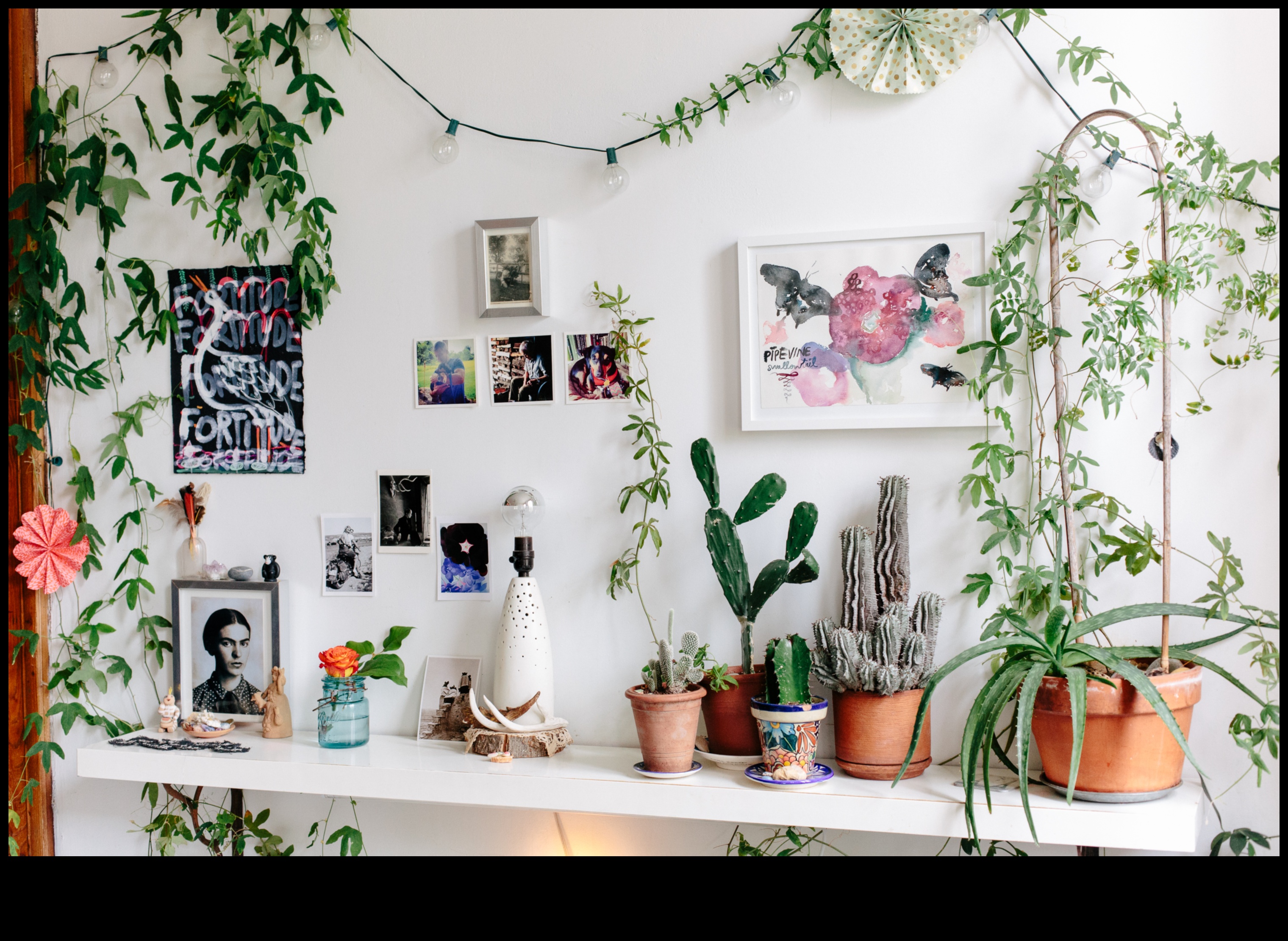 Houseplant Haven: Kapalı Bahçecilikte Başarının Sırları